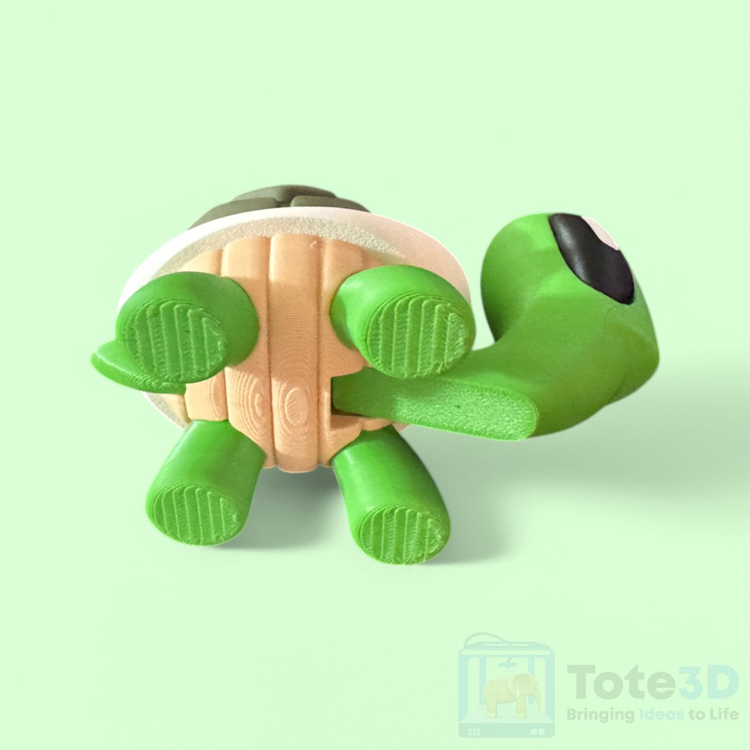 Cowboy Turtle 🐢🤠