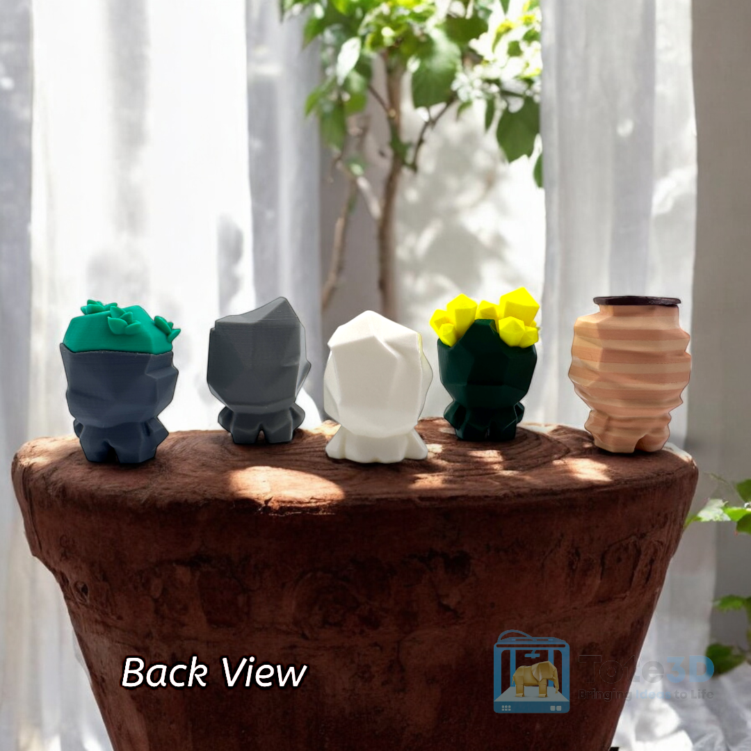 Expressive Rock Garden Set – Indoor & Zen Garden Accessories 🌿🪨