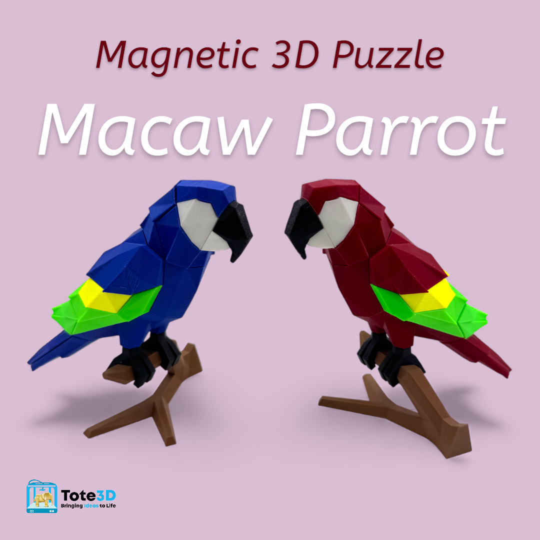Macaw Parrot 3D Puzzle – Magnetic Click Toy for Kids & Adults