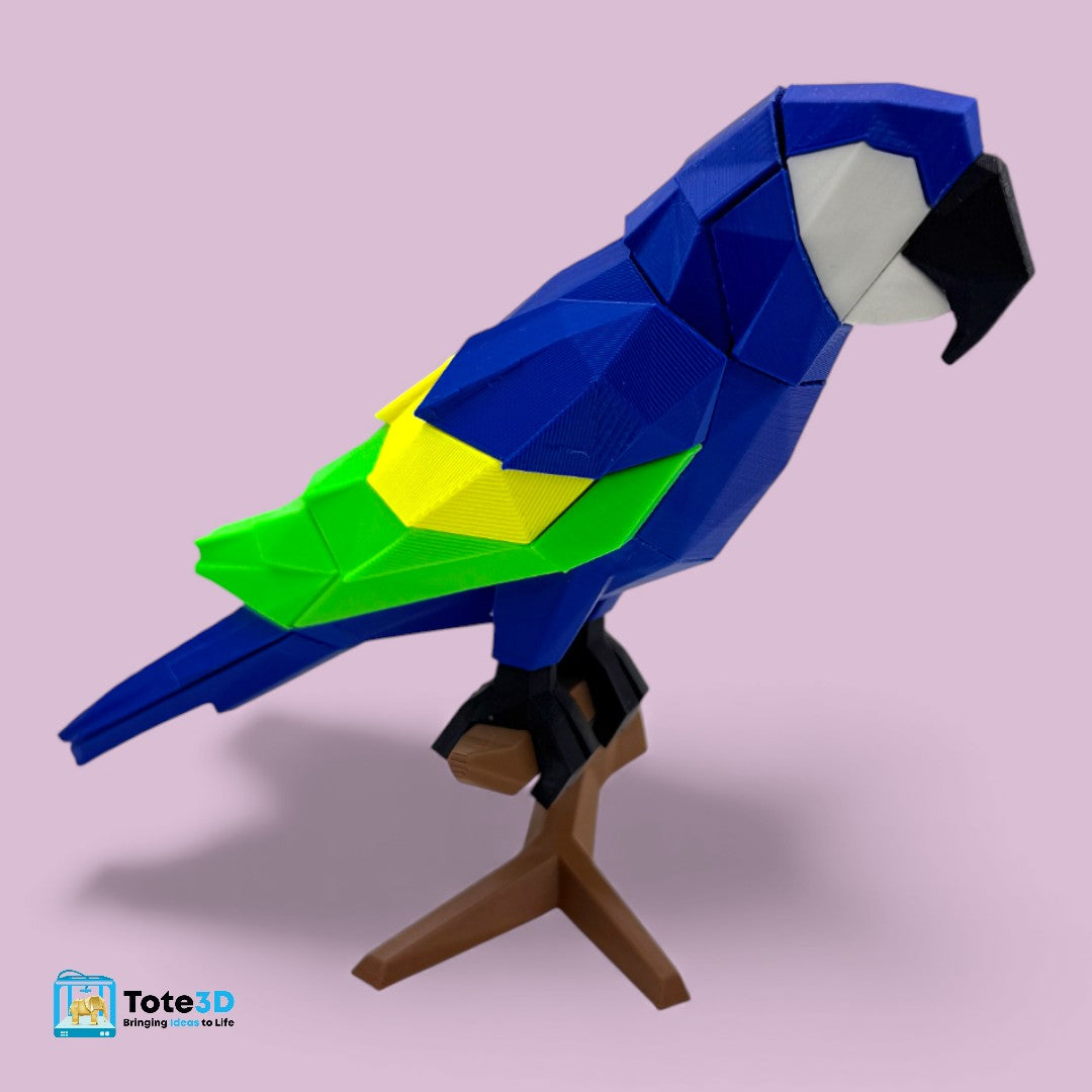 Macaw Parrot 3D Puzzle – Magnetic Click Toy for Kids & Adults