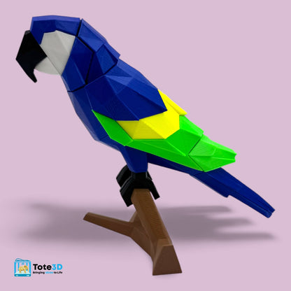 Macaw Parrot 3D Puzzle – Magnetic Click Toy for Kids & Adults