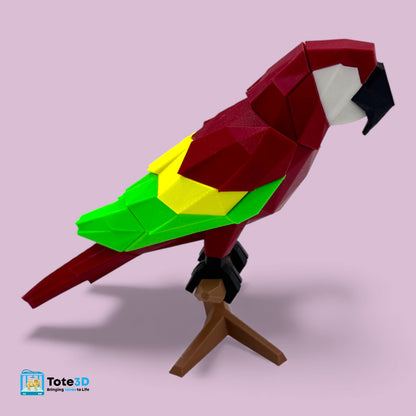 Macaw Parrot 3D Puzzle – Magnetic Click Toy for Kids & Adults