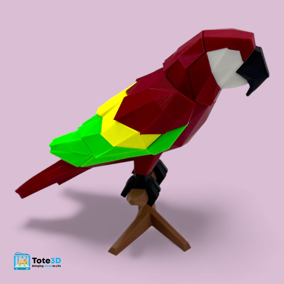 Macaw Parrot 3D Puzzle – Magnetic Click Toy for Kids & Adults