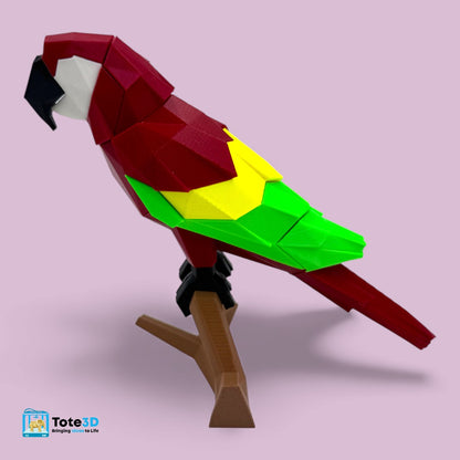 Macaw Parrot 3D Puzzle – Magnetic Click Toy for Kids & Adults