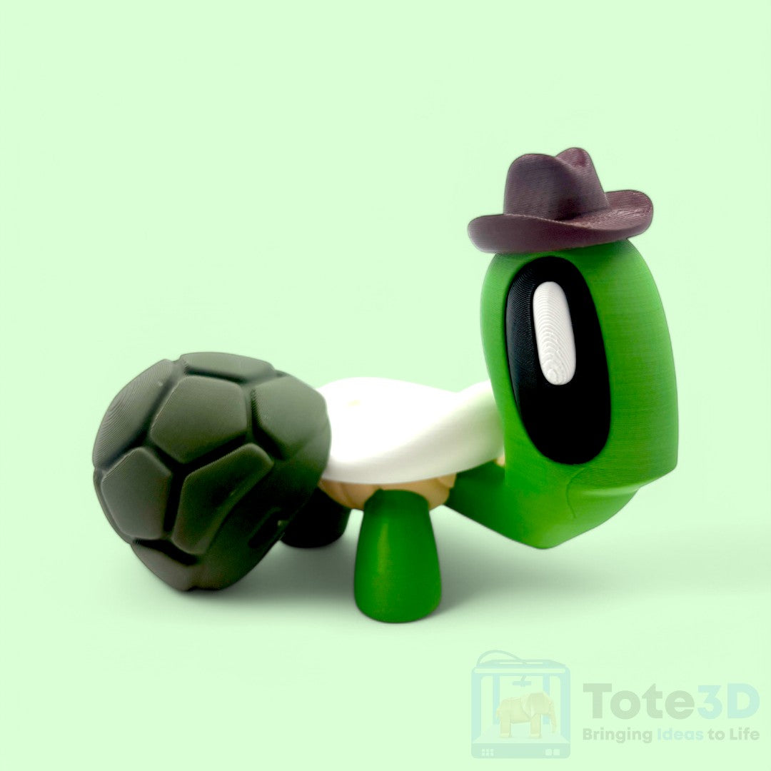 Cowboy Turtle 🐢🤠