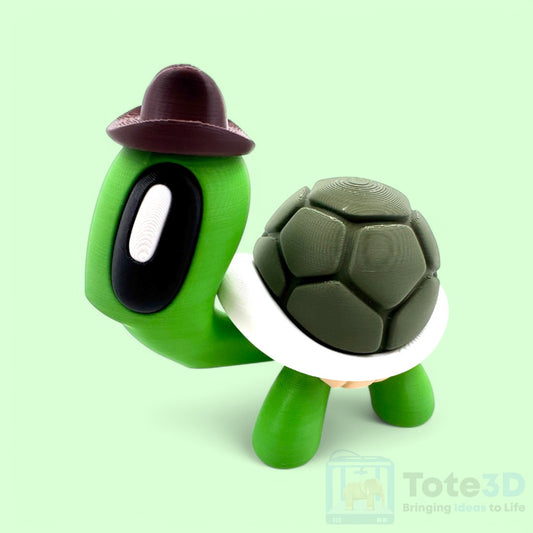 Cowboy Turtle 🐢🤠
