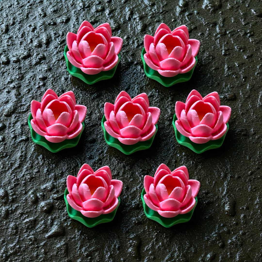 Lotus Flower - Clicker and Non-Clicker version