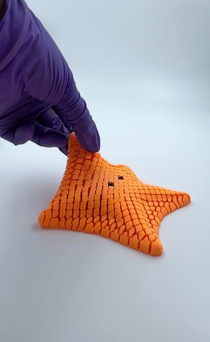 Flexi Star – Articulated 3D Printed Decorative Model & Fidget Fun